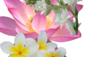 rectpost_image